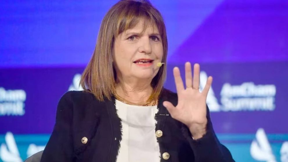 Bullrich explic� c�mo identificar�n a las personas que protesten en la calle