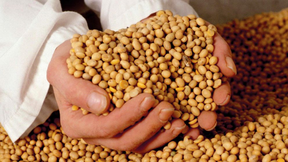 Debate por el origen