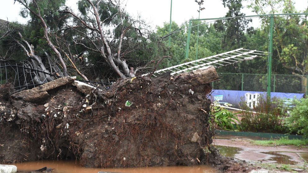 Las consecuencias del temporal, a la vista en todos los barrios