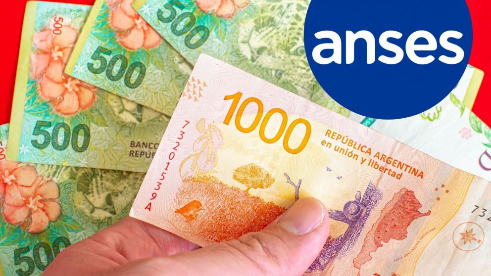 con información de anses.gob.ar