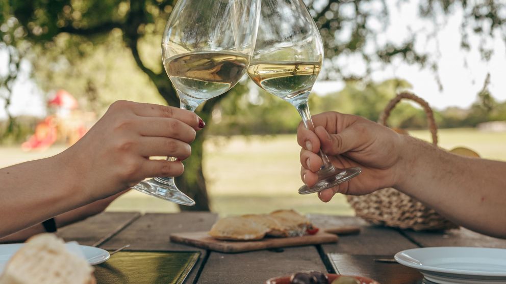 Crece el enoturismo en Uruguay: escapada a Colonia para amantes del vino