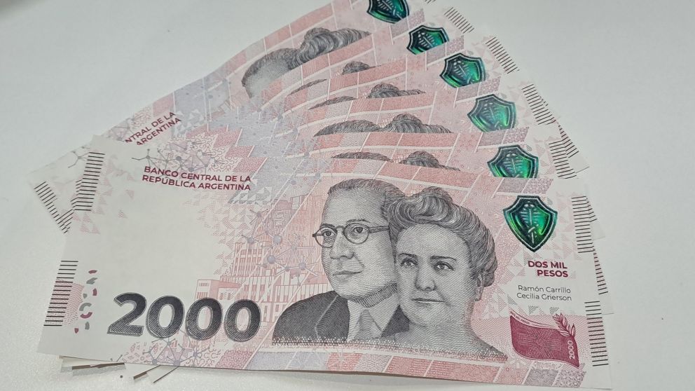 Bono de diciembre 2023 en Anses