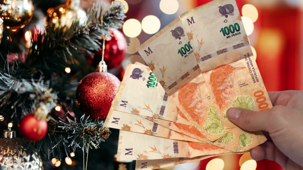 Pagos de Anses diciembre 2021