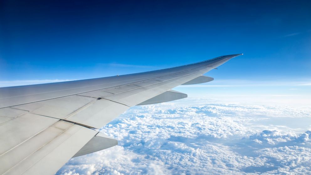 Es todo un "hito" en el camino hacia la descarbonización