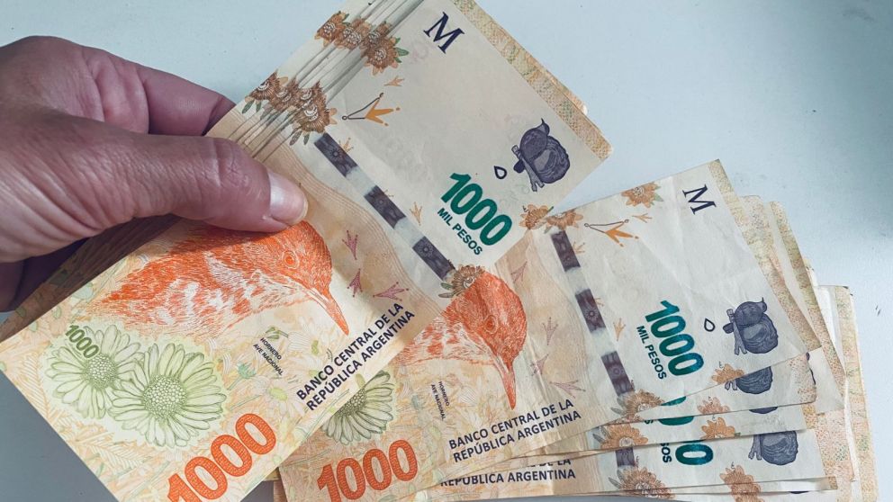 Mi Anses: ¿cuándo cobro?