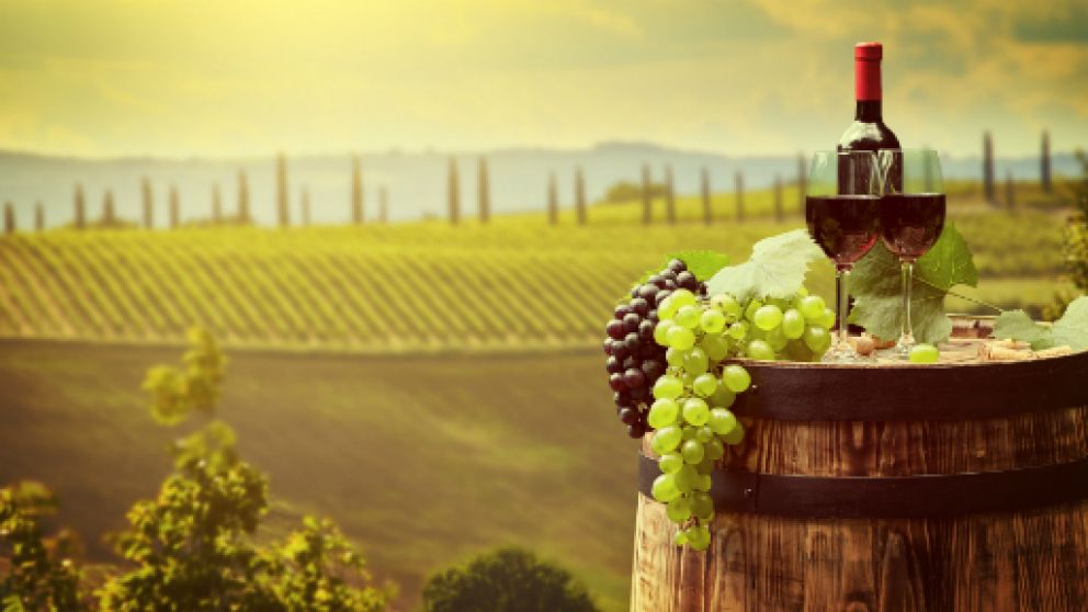 Buscan fortalecer el sector del enoturismo