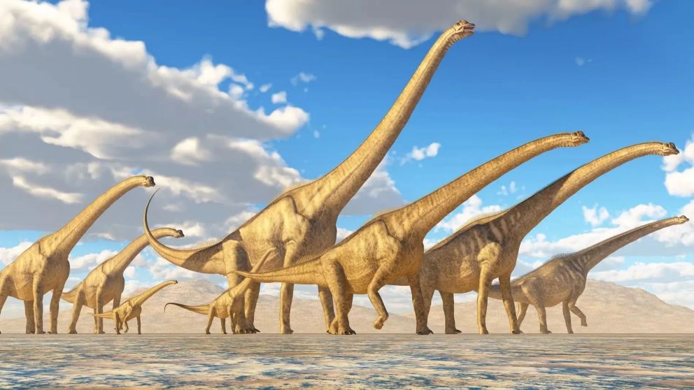 Descubren en la Patagonia una nueva especie de dinosaurio que vivi� hace 86 millones de a�os