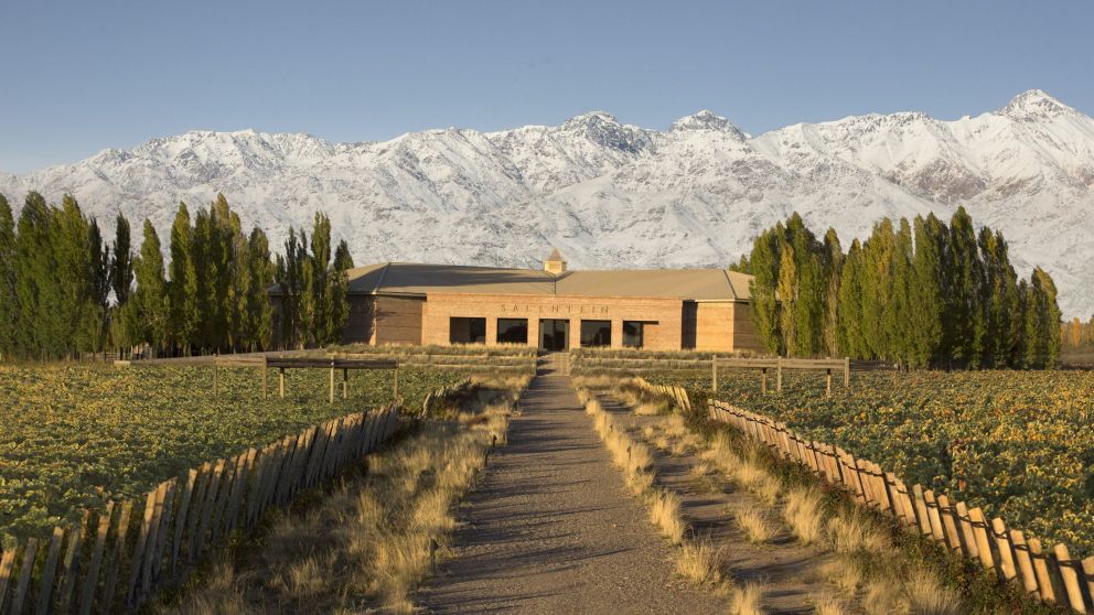 Productor vitivinícola cierra acuerdo en el país