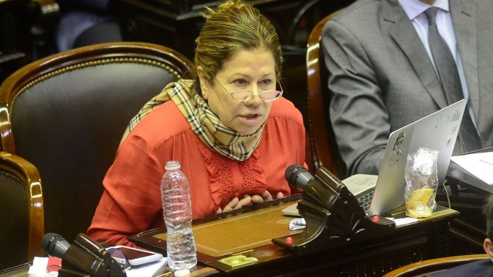 Graciela Camaño anunció su apoyo a Massa