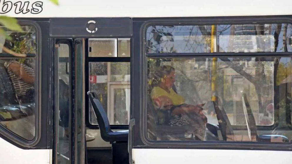 La tarifa real se cobrará automaticamente