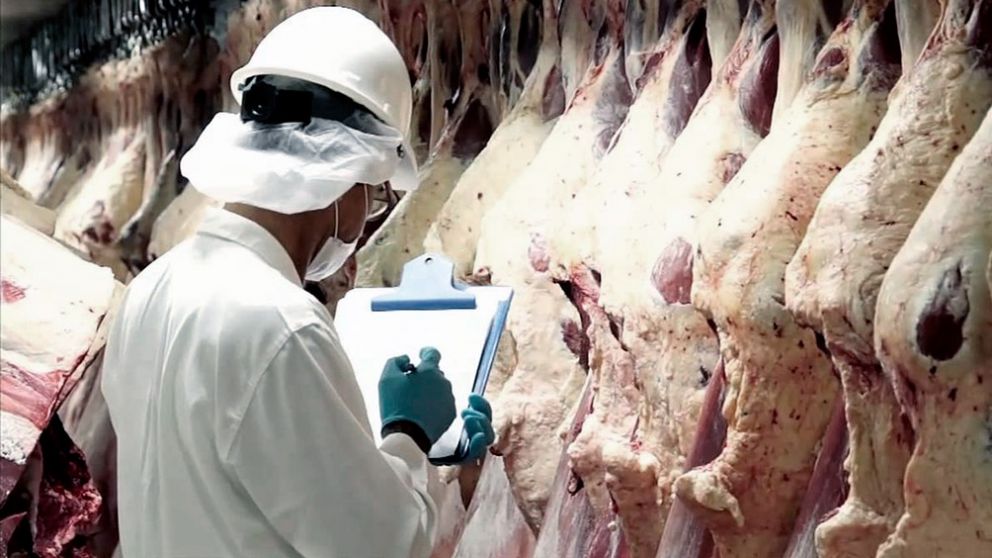 Para 2022 se espera una producción de carne de 3 millones de toneladas