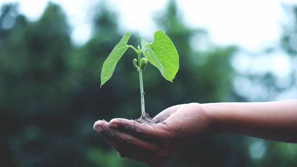 D�a mundial contra el cambio clim�tico: acciones que suman