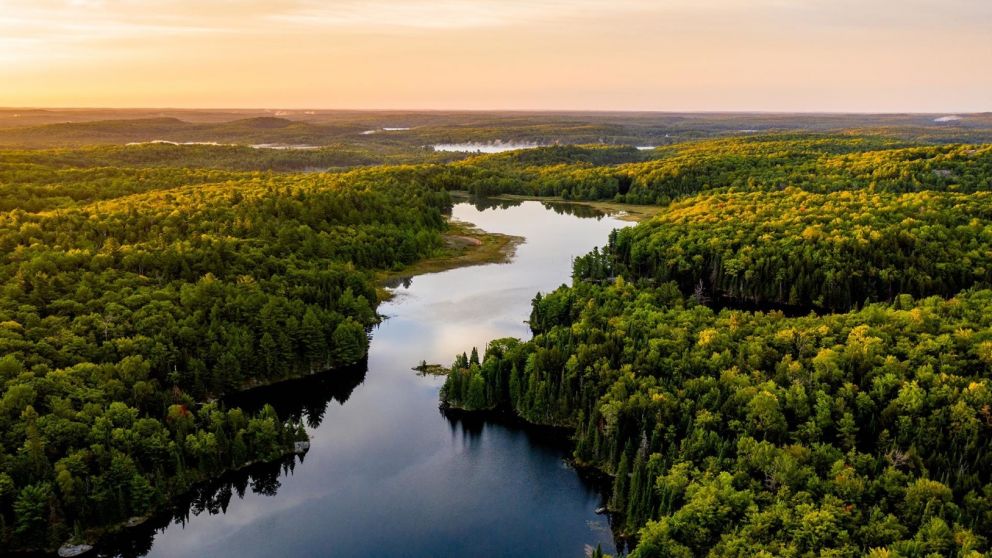 Como cuidar la naturaleza