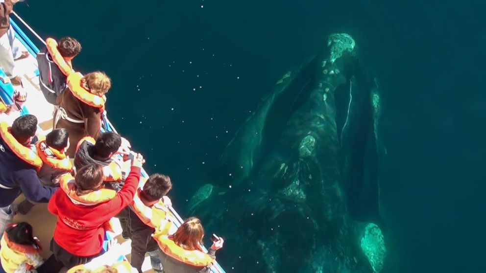 Fin de semana extralargo: con el impulso de PreViaje, se espera un movimiento turístico récord