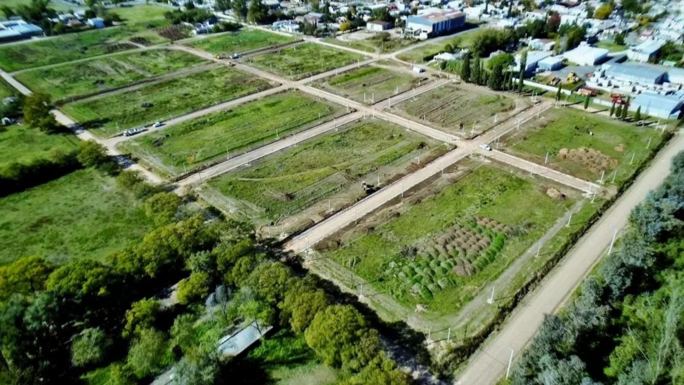 El Gobierno ofrece terrenos gratis a familias vulnerables: dónde anotarse