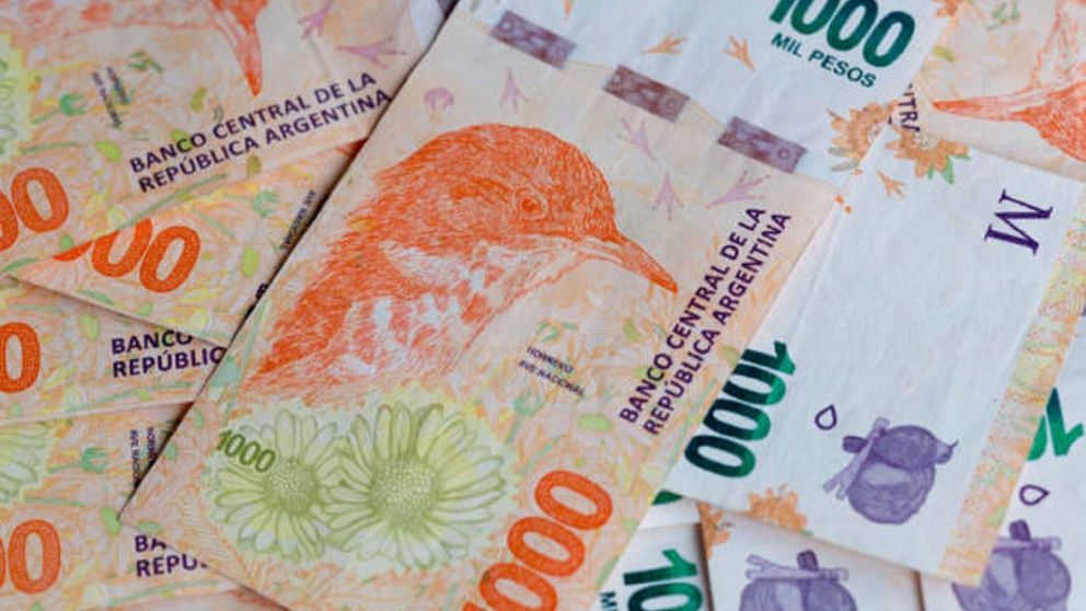 The new Argentine Peso bills, Argentine Republic Bills. Designed with wildlife from Argentina.