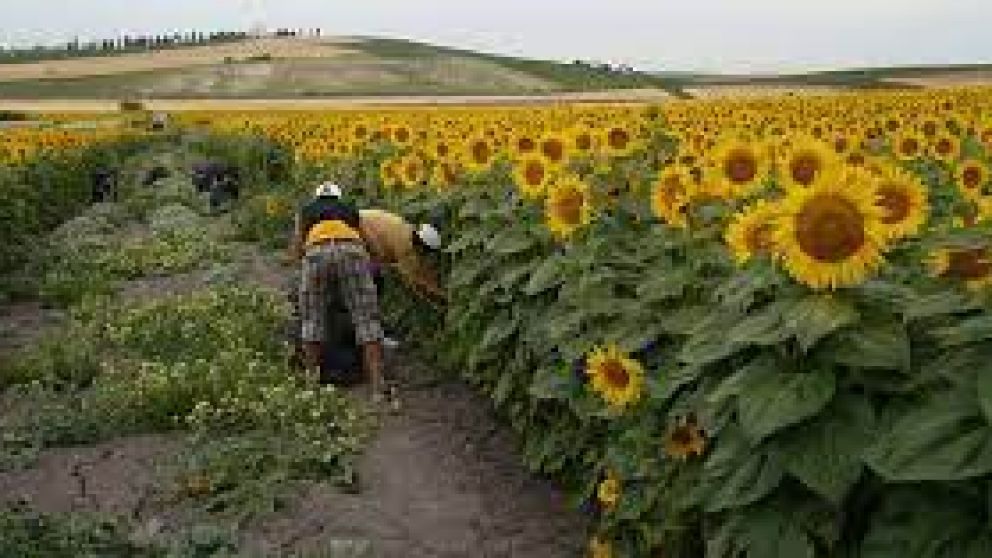 La inestabilidad climática se mantiene
