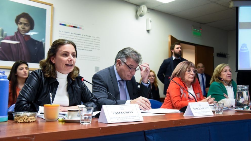 Con la presencia de Kelly Olmos, Diputados comenzó a debatir la reducción de la jornada laboral