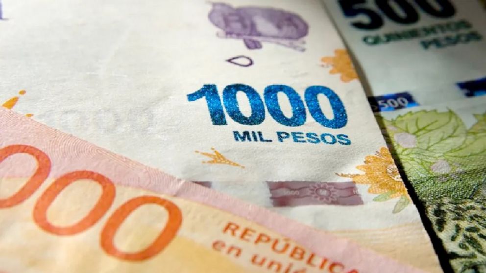 Nuevo Bono similar al IFE confirmado por el Gobierno: mirá todos los requisitos para acceder