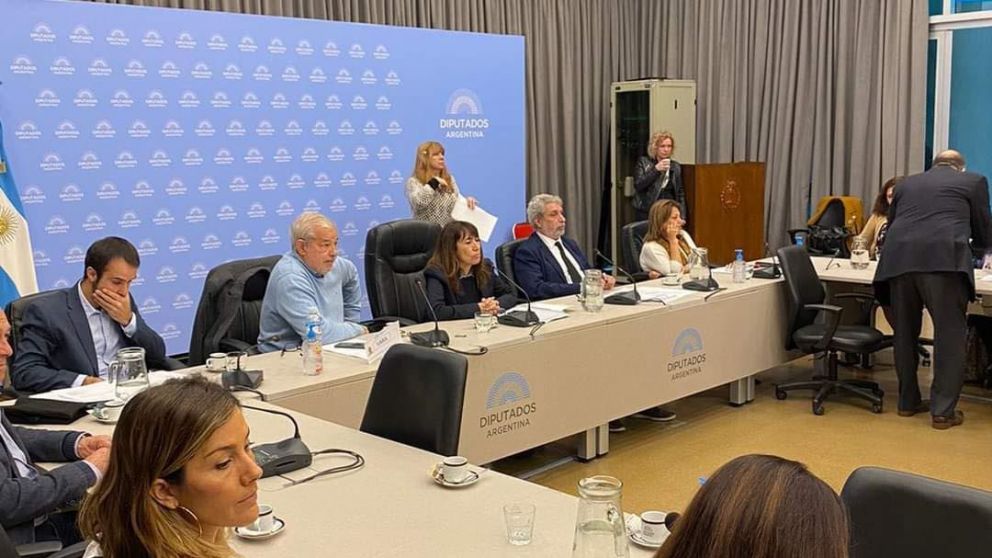 Acuerdo en el plenario de comisiones