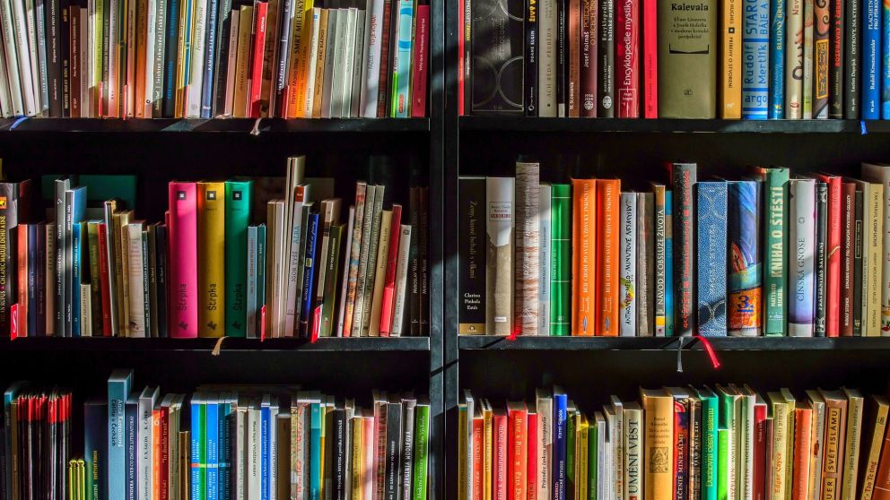 En algunas bibliotecas y escuelas se prohiben libros como "El cuento de la criada"