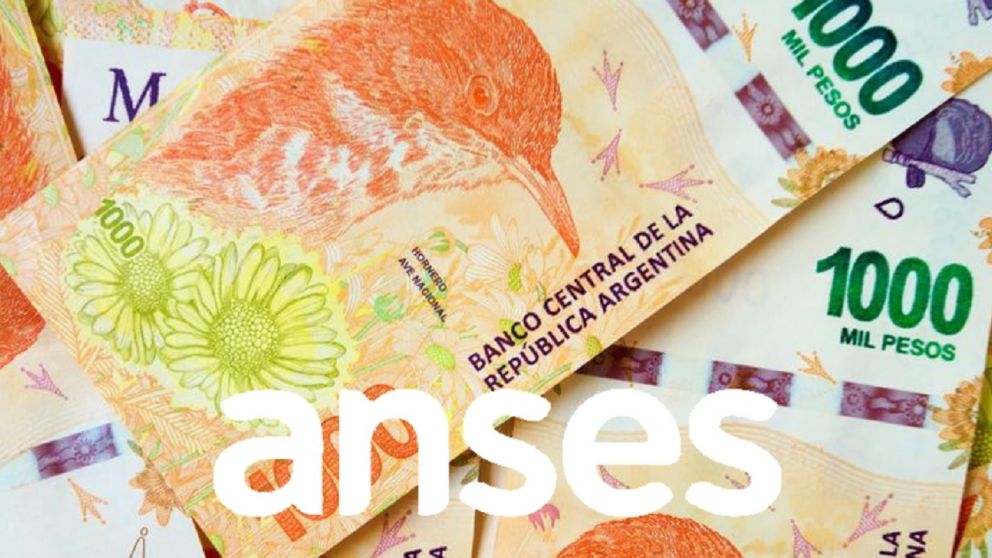 Créditos de Anses para trabajadores en dependencia