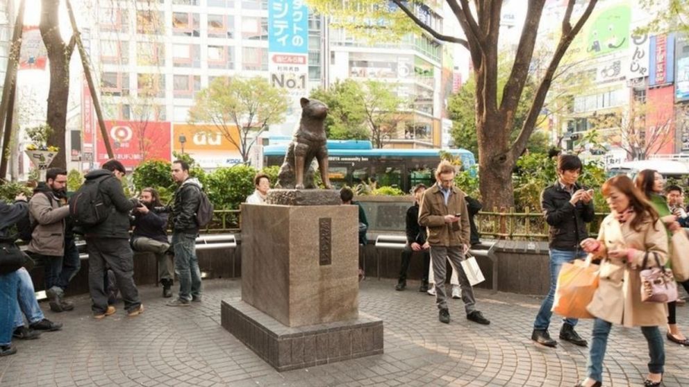 Hachiko se volvi� un s�mbolo de uni�n y lealtad en Jap�n