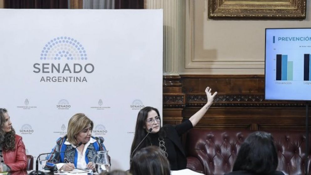 La exposición del informe se realizó en el Congreso