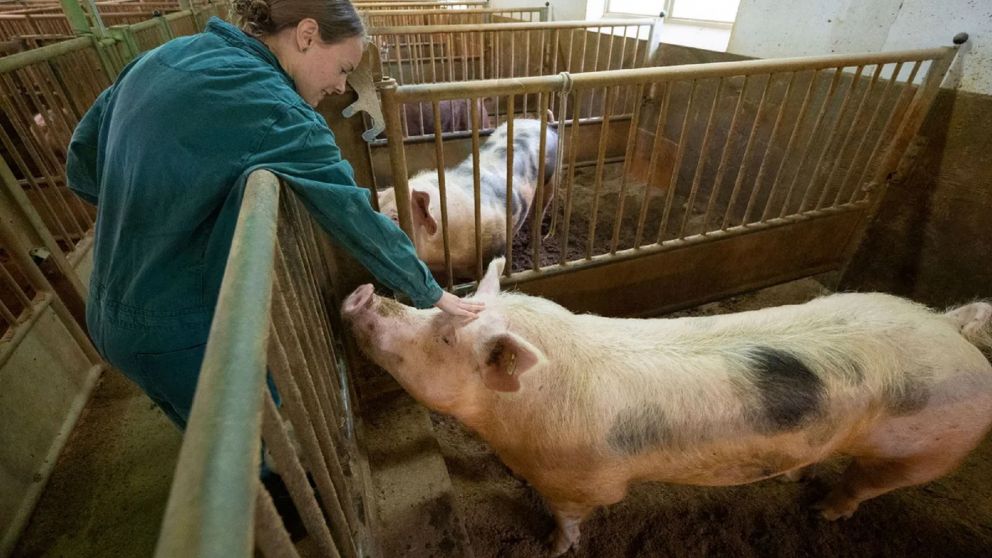 El experimento ilusiona a la comunidad científica