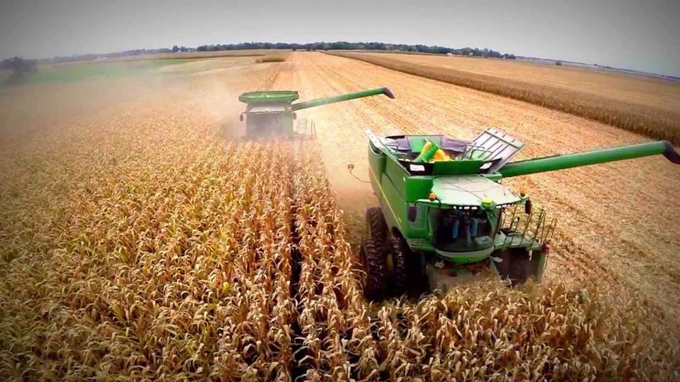 El Gobierno confirmó el aumento del 31% al 33% de las retenciones de harina y aceite de soja