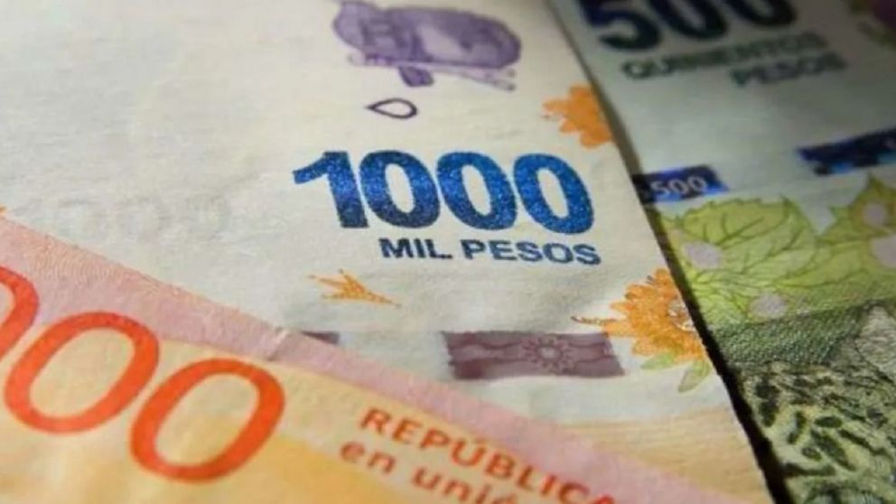 Consulstá los requisitos para cobrar $20.000 en agosto