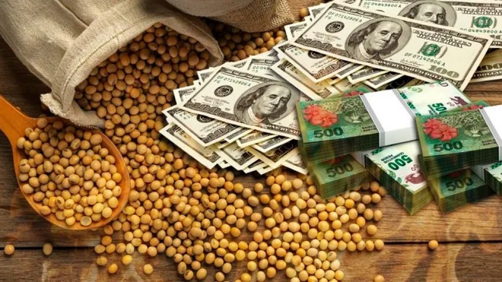 Nuevo Dólar Soja: no tendrá precio diferencial sino cupo de divisas de libre disponibilidad