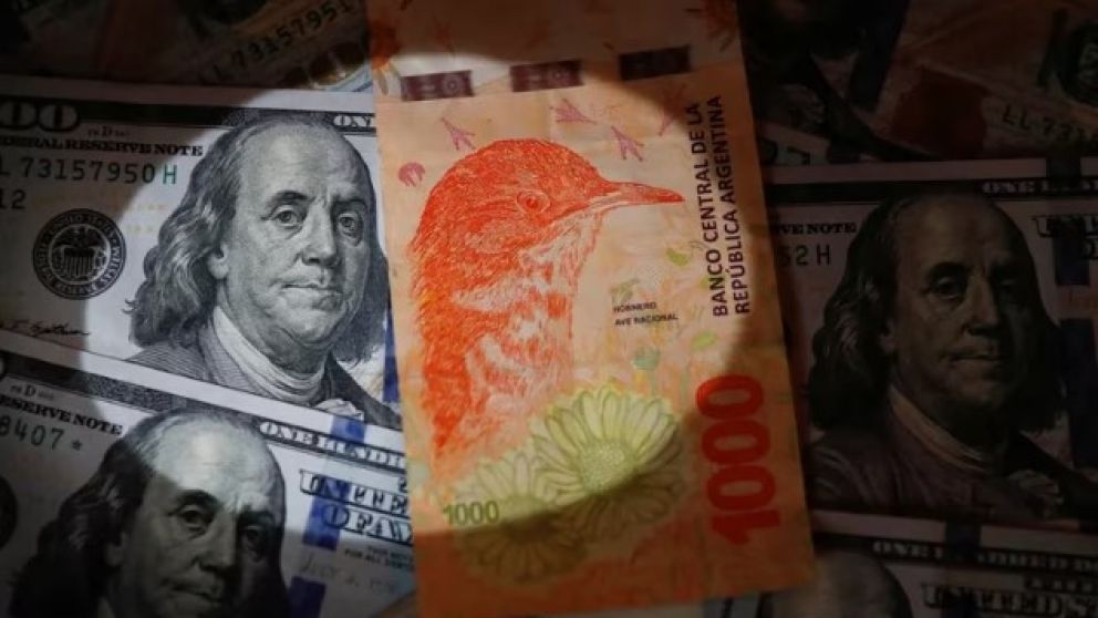 El bimonetarismo no es una solución sino la profundización de los problemas