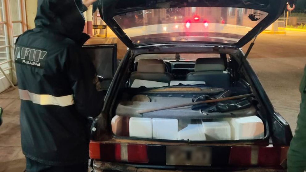La Aduana impidió el contrabando de 150 kilos de "caviar rojo" valuados en $16 millones
