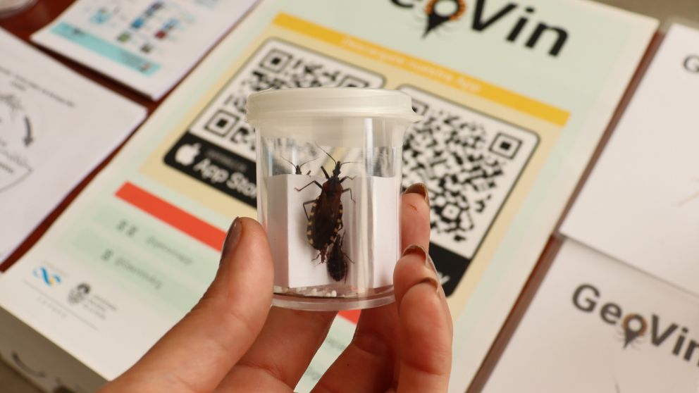 Los proyectos ganadores de la convocatoria reciben fondos