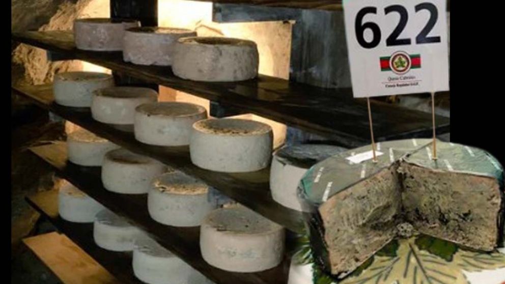 El queso más caro del mundo fue subastado en España