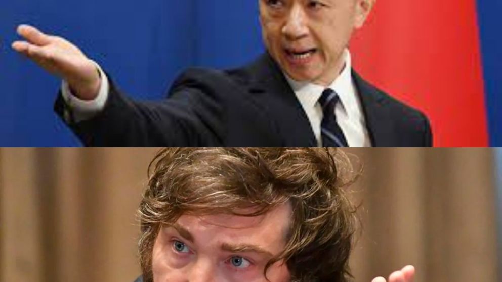 Milei dijo que le corresponde al sector privado decidir si mantiene los negocios con China