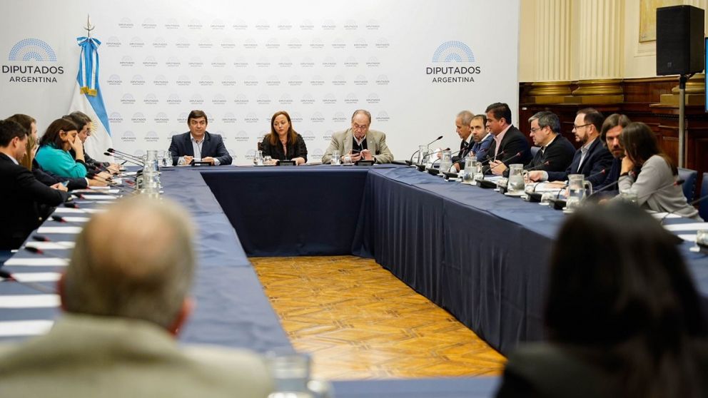 Oficialismo y oposición mostraron una llamativa sintonía durante la reunión