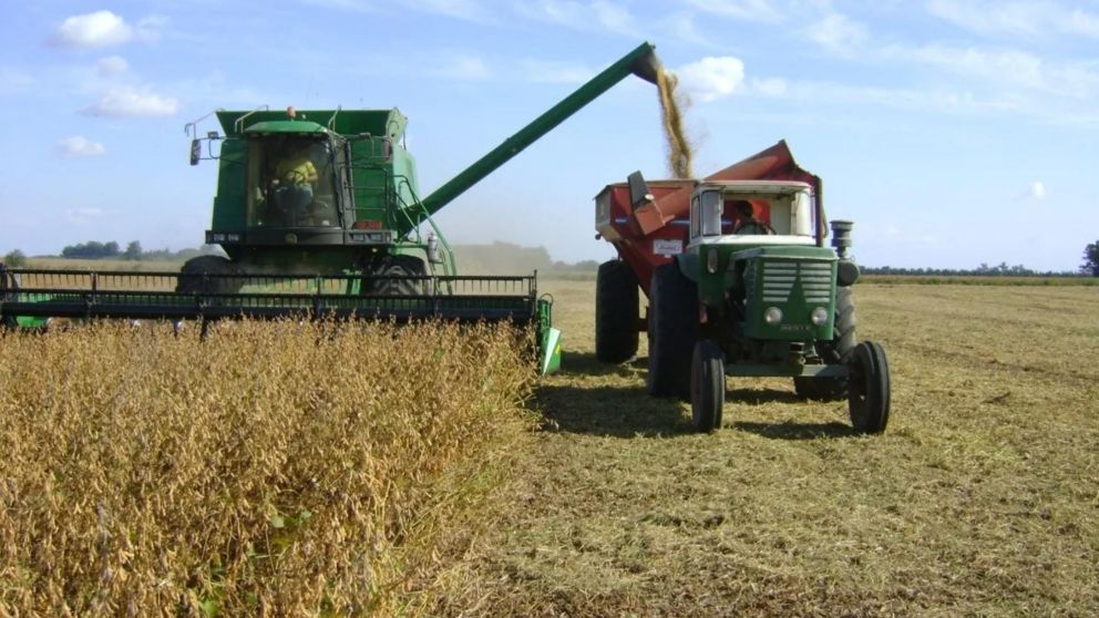 Dólar maíz: en tres semanas el campo superó el objetivo de USD2.000 millones