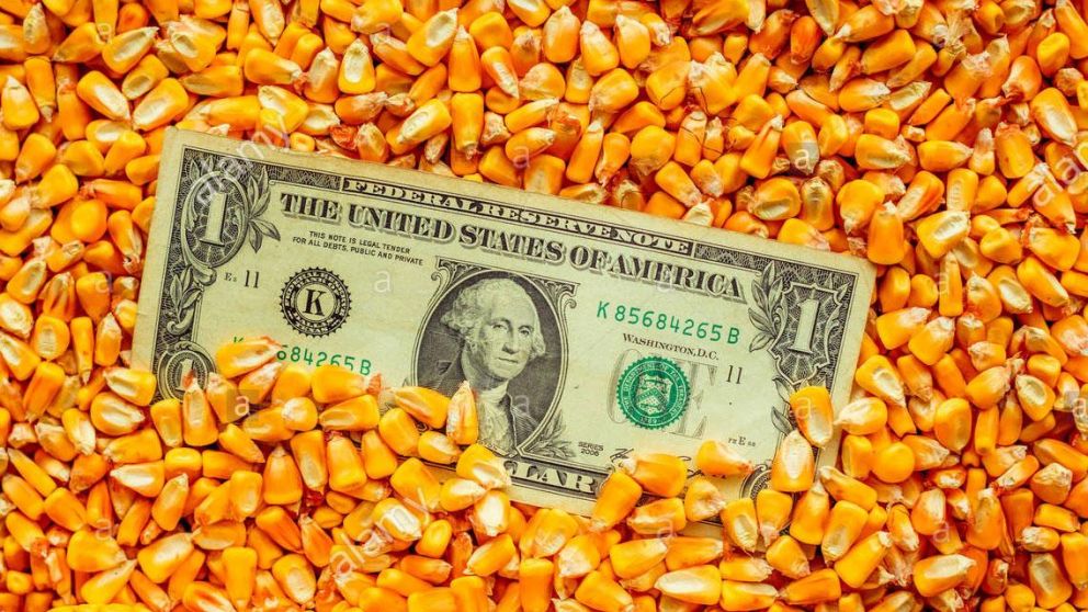 El dólar agro logró achicar la venta de divisas de julio por parte del BCRA