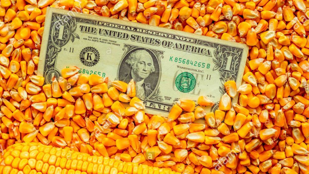 Repuntó la liquidación y el objetivo del dólar agro quedó casi cumplido