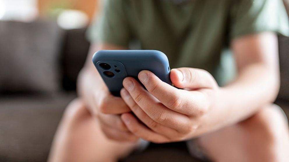 Proponen que los dispositivos cuenten con un "modo menor"