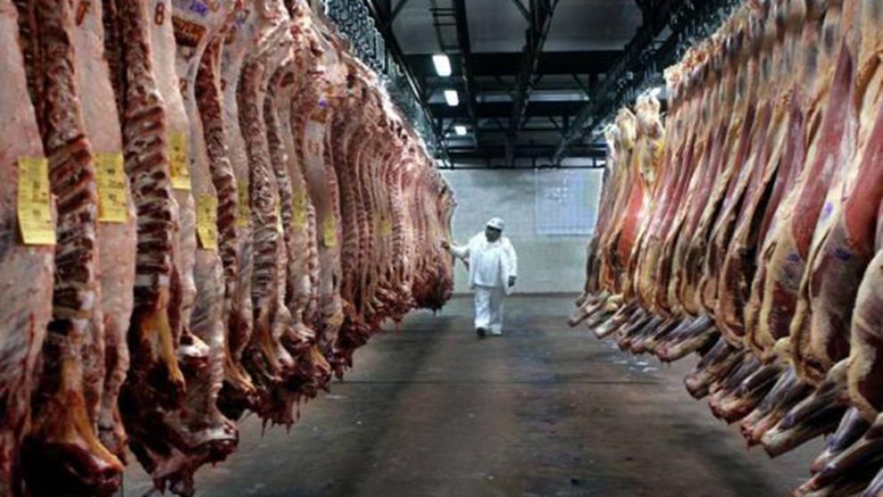 Por el cierre del gigante asiático, las plantas acumulan stock