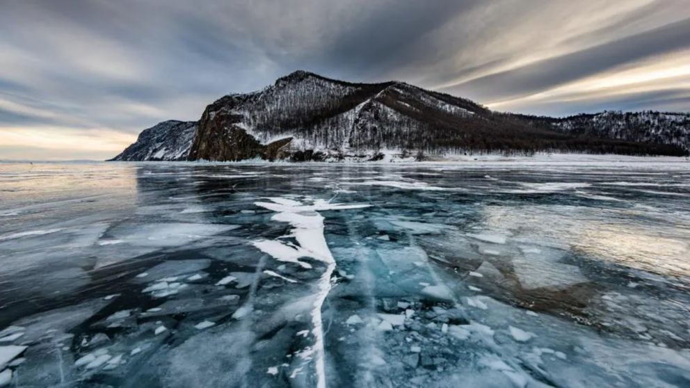 Los gusanos fueron hallados en el permafrost de Siberia, Rusia