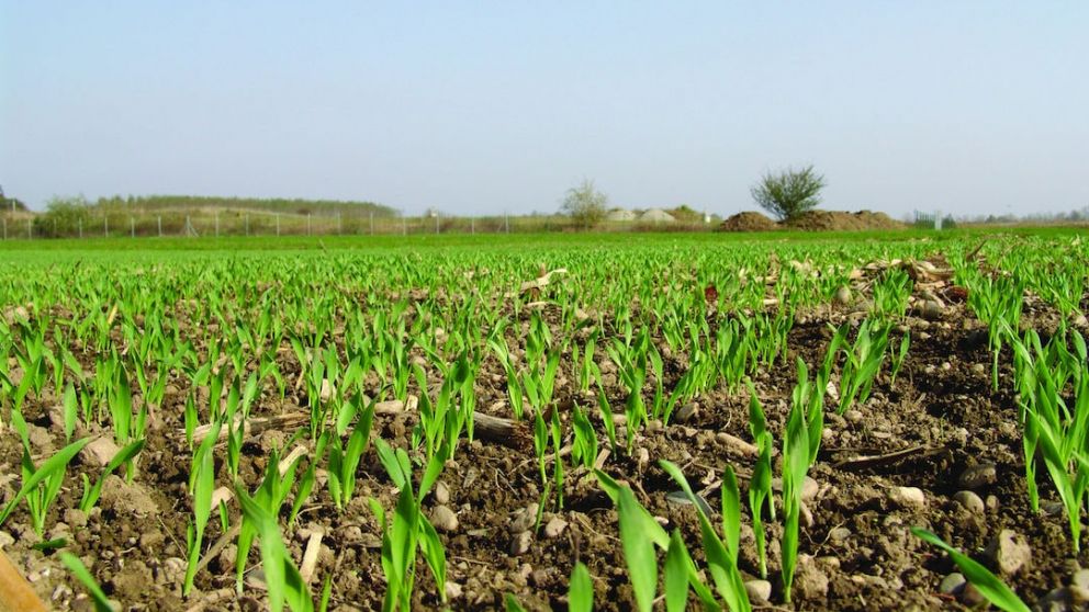 Nuevas soluciones tecnológicas para el campo