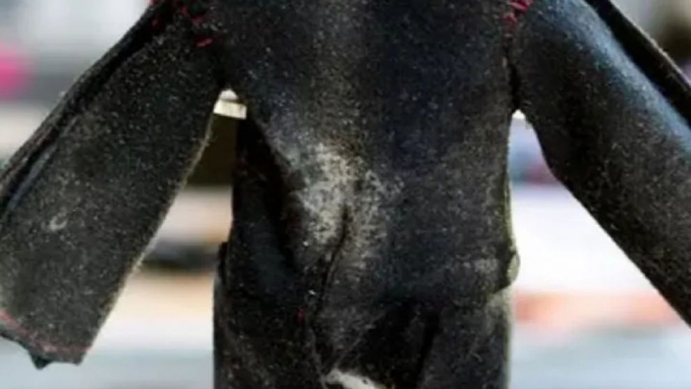 Científicos utilizan una Barbie como conejillo de indias para experimentos espaciales