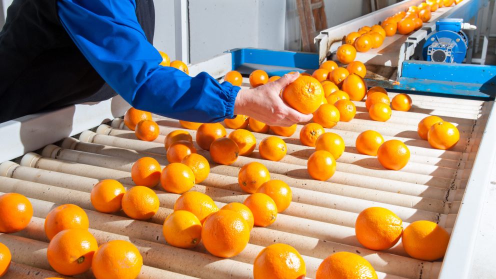 El nuevo plan esta dirigido a trabajadores rurales con actividades temporales y estacionales