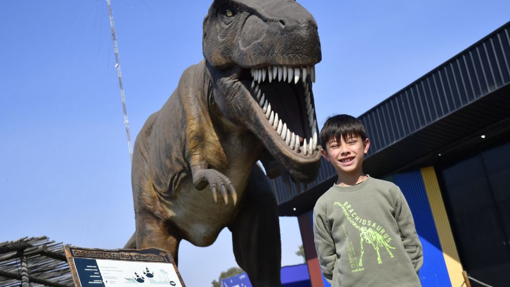 Elige tu propia aventura: siete propuestas gratuitas para las vacaciones