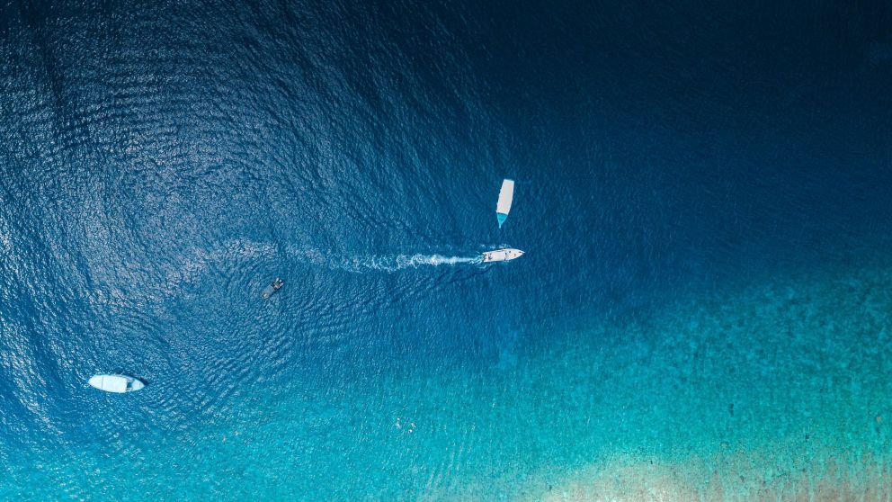 Hay riesgos de que la biodiversidad oceánica y la pesca sean alteradas