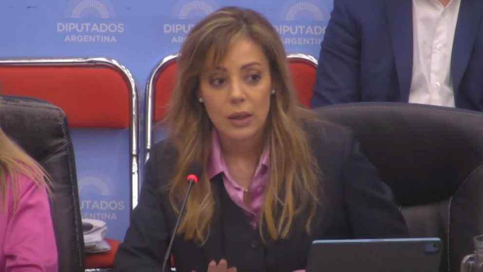 Royon sostuvo que el proyecto de GNL "cambiar� la realidad productiva y econ�mica de Argentina"